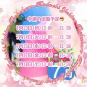 ヒメ日記 2026/07/13 11:23 投稿 ゆきの 池袋角海老