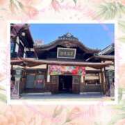 ヒメ日記 2026/07/14 11:13 投稿 ゆきの 池袋角海老
