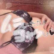 ヒメ日記 2026/08/10 07:45 投稿 レイラ 黄金の口 本店