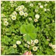 ヒメ日記 2025/04/27 15:01 投稿 おとは consolation