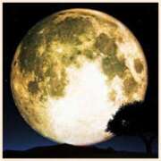 おとは こんにちは consolation