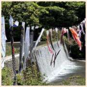 ヒメ日記 2026/05/09 12:40 投稿 おとは consolation