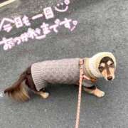 ヒメ日記 2024/12/09 23:24 投稿 みく チェックイン横浜女学園