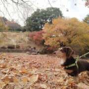 ヒメ日記 2024/12/13 13:15 投稿 みく チェックイン横浜女学園