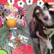 ヒメ日記 2025/01/01 22:06 投稿 みく チェックイン横浜女学園