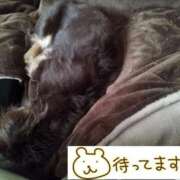 ヒメ日記 2025/01/08 19:28 投稿 みく チェックイン横浜女学園