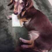 ヒメ日記 2025/01/21 01:50 投稿 みく チェックイン横浜女学園