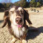 ヒメ日記 2025/01/23 11:20 投稿 みく チェックイン横浜女学園