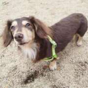 ヒメ日記 2025/02/05 14:20 投稿 みく チェックイン横浜女学園