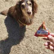 ヒメ日記 2025/02/20 00:35 投稿 みく チェックイン横浜女学園