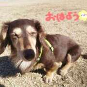 ヒメ日記 2025/02/23 10:39 投稿 みく チェックイン横浜女学園