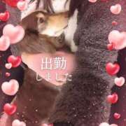 ヒメ日記 2025/02/26 10:26 投稿 みく チェックイン横浜女学園