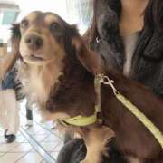 ヒメ日記 2025/02/28 01:05 投稿 みく チェックイン横浜女学園