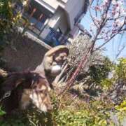 ヒメ日記 2025/03/03 22:39 投稿 みく チェックイン横浜女学園