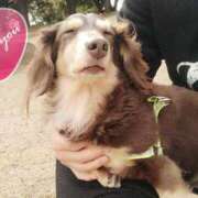 ヒメ日記 2025/03/17 22:42 投稿 みく チェックイン横浜女学園