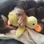 ヒメ日記 2025/04/09 23:48 投稿 みく チェックイン横浜女学園