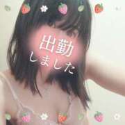 ヒメ日記 2025/04/12 10:07 投稿 みく チェックイン横浜女学園