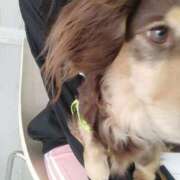 ヒメ日記 2025/04/18 11:49 投稿 みく チェックイン横浜女学園