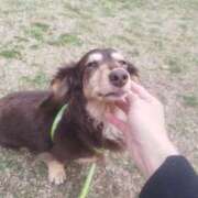 ヒメ日記 2025/04/18 16:53 投稿 みく チェックイン横浜女学園