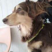 ヒメ日記 2025/04/22 11:21 投稿 みく チェックイン横浜女学園