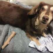 ヒメ日記 2025/05/07 22:17 投稿 みく チェックイン横浜女学園