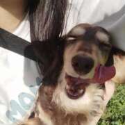 ヒメ日記 2025/05/08 22:53 投稿 みく チェックイン横浜女学園