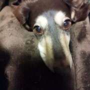 ヒメ日記 2025/05/14 22:49 投稿 みく チェックイン横浜女学園