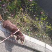 ヒメ日記 2025/05/15 13:13 投稿 みく チェックイン横浜女学園