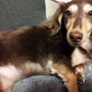 ヒメ日記 2025/05/15 23:40 投稿 みく チェックイン横浜女学園