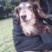 ヒメ日記 2025/05/16 22:10 投稿 みく チェックイン横浜女学園