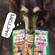 ヒメ日記 2025/05/19 00:15 投稿 みく チェックイン横浜女学園