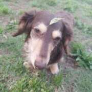 ヒメ日記 2025/05/21 00:29 投稿 みく チェックイン横浜女学園