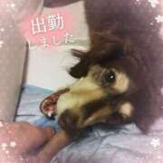 ヒメ日記 2025/05/25 11:44 投稿 みく チェックイン横浜女学園