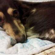 ヒメ日記 2025/07/02 23:45 投稿 みく チェックイン横浜女学園