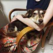 ヒメ日記 2025/07/10 00:48 投稿 みく チェックイン横浜女学園