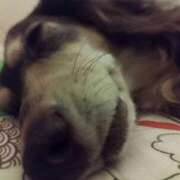 ヒメ日記 2025/07/24 21:33 投稿 みく チェックイン横浜女学園