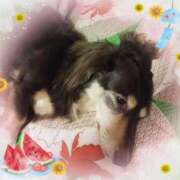 ヒメ日記 2025/08/06 18:56 投稿 みく チェックイン横浜女学園