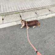 ヒメ日記 2025/08/14 21:41 投稿 みく チェックイン横浜女学園