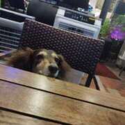 ヒメ日記 2025/08/21 22:40 投稿 みく チェックイン横浜女学園