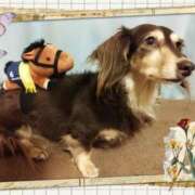 ヒメ日記 2025/09/11 23:17 投稿 みく チェックイン横浜女学園