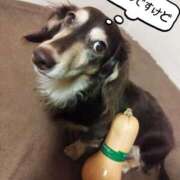 ヒメ日記 2025/09/17 21:44 投稿 みく チェックイン横浜女学園