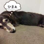 ヒメ日記 2025/09/20 09:56 投稿 みく チェックイン横浜女学園