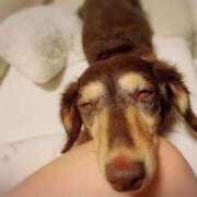 ヒメ日記 2025/09/29 20:57 投稿 みく チェックイン横浜女学園