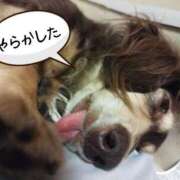 ヒメ日記 2025/10/03 22:41 投稿 みく チェックイン横浜女学園