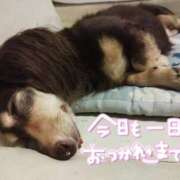 ヒメ日記 2025/10/05 21:53 投稿 みく チェックイン横浜女学園