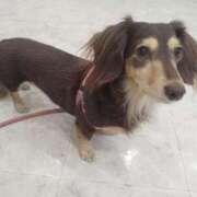 ヒメ日記 2025/10/22 00:09 投稿 みく チェックイン横浜女学園