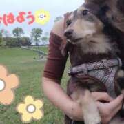 ヒメ日記 2025/10/25 11:08 投稿 みく チェックイン横浜女学園