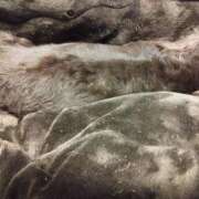 ヒメ日記 2025/11/09 23:30 投稿 みく チェックイン横浜女学園