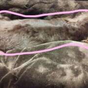 ヒメ日記 2025/11/10 23:26 投稿 みく チェックイン横浜女学園