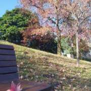 ヒメ日記 2025/11/20 22:45 投稿 みく チェックイン横浜女学園